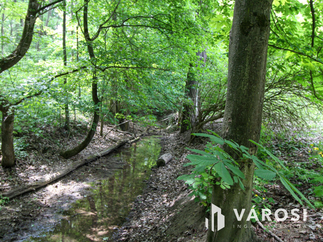 Megosztható telek, két családi házzal Únyon