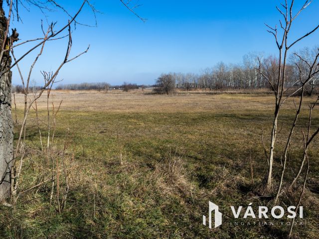 Felújításra váró tanya Szatymazon