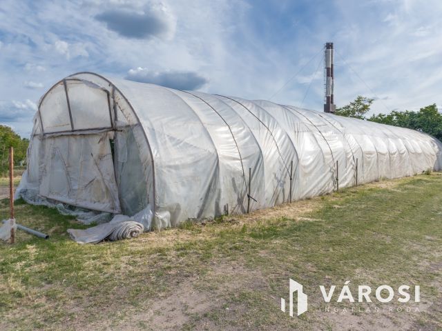 Erdészház utcai gazdaság Eladó