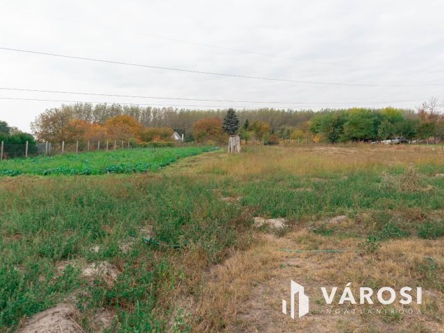 Sándorfalva külterületén Telek Eladó