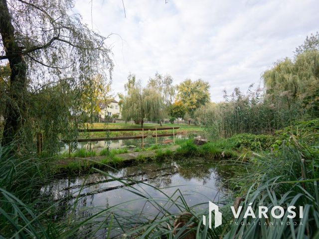 Családi ház a Holt-Duna partján, osztható telekkel!