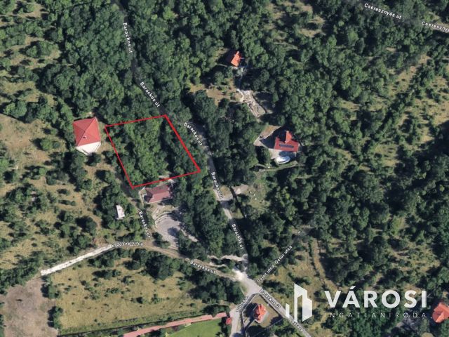 Panorámás telek eladó Szentendrén, Pismány tetején