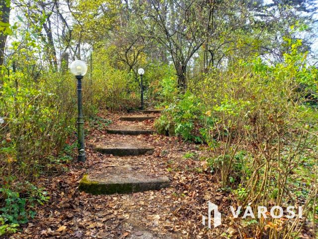Dunai panorámás villa ősfás parkban Szentendrén