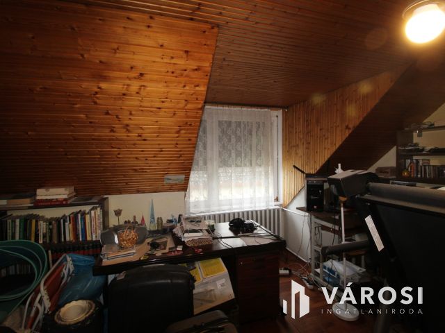 Családi ház zöldövezetben a Kurca partján