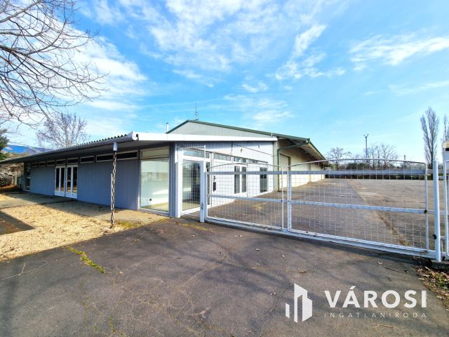 Kiadó ipari létesítmény Békéscsaba kereskedelmi övezetében