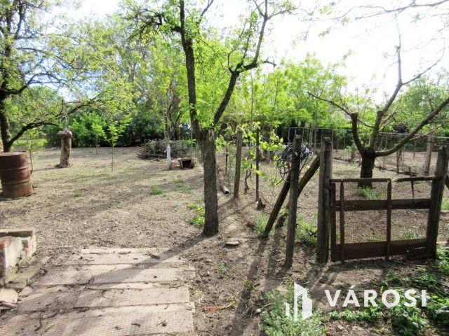 Székkutason szép állapotú családi ház eladó