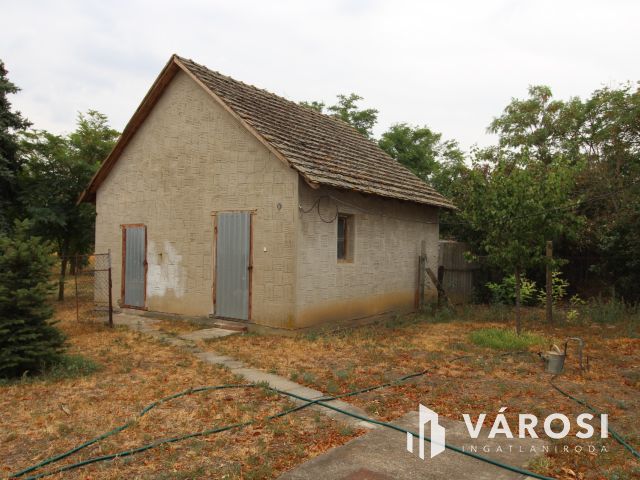 Szántó és tanya egyben