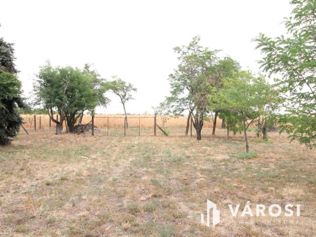 Szántó és tanya egyben