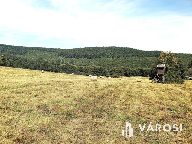 8 Ha 9410m2 Legelő - Kaszáló festői környezetben